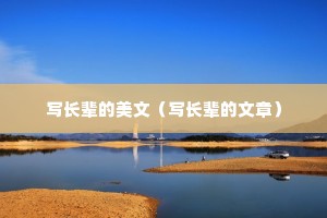 写长辈的美文（写长辈的文章）