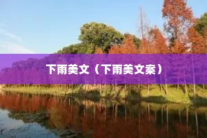 下雨美文（下雨美文案）