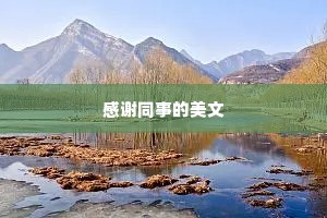 感谢同事的美文