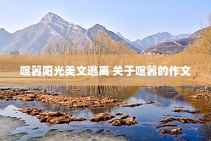 喧嚣阳光美文逃离 关于喧嚣的作文