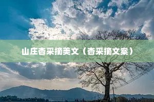 山庄杏采摘美文（杏采摘文案）