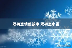 双初恋情感故事 双初恋小说