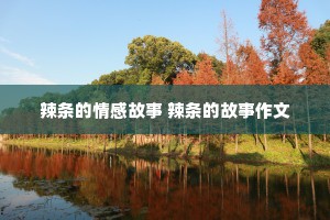 辣条的情感故事 辣条的故事作文