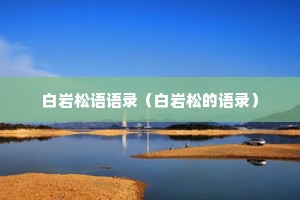 白岩松语语录（白岩松的语录）