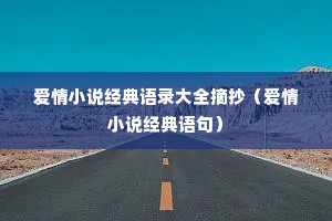爱情小说经典语录大全摘抄（爱情小说经典语句）