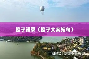 橙子语录（橙子文案短句）