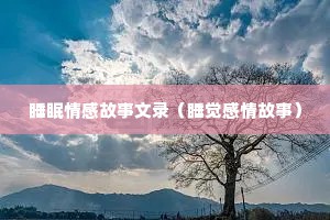 睡眠情感故事文录（睡觉感情故事）