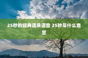 25秒的经典语录语音 25秒是什么意思