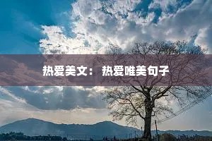 热爱美文： 热爱唯美句子