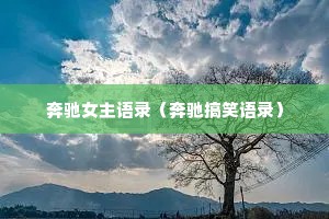 奔驰女主语录（奔驰搞笑语录）