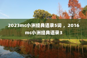 2023mc小洲经典语录5词 ，2016mc小洲经典语录3