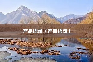 产品语录（产品语句）