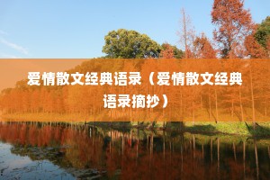 爱情散文经典语录（爱情散文经典语录摘抄）