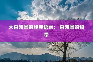 大白汤圆的经典语录： 白汤圆的热量