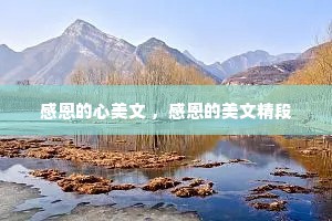 感恩的心美文 ，感恩的美文精段