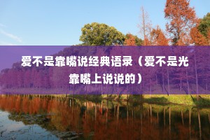 爱不是靠嘴说经典语录（爱不是光靠嘴上说说的）