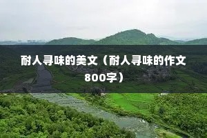 耐人寻味的美文（耐人寻味的作文800字）