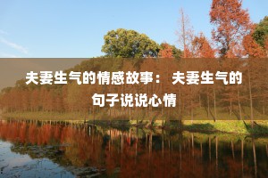 夫妻生气的情感故事： 夫妻生气的句子说说心情