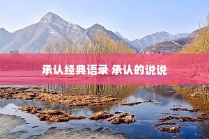 承认经典语录 承认的说说