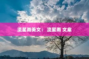 流星雨美文： 流星雨 文案