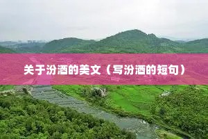 关于汾酒的美文（写汾酒的短句）