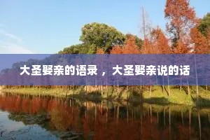 大圣娶亲的语录 ，大圣娶亲说的话