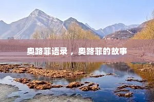 奥路菲语录 ，奥路菲的故事