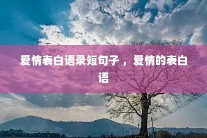 爱情表白语录短句子 ，爱情的表白语